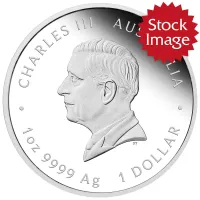 Click to enlarge