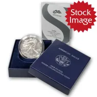 2008 W Burnished American Silver Eagle