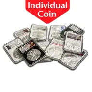 Mixed Dates American Silver Eagle - NGC or PCGS MS 69 - Variety of Holders & Labels