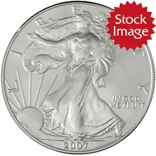 2007 W Burnished American Silver Eagle - No Packaging
